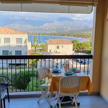 Vue Proche Du Port * Calvi (Corsica)